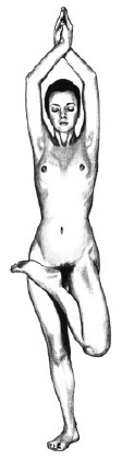Иллюстрация к книге — Йога и сексуальные практики [i_023.jpg]