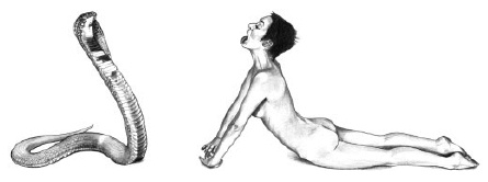 Иллюстрация к книге — Йога и сексуальные практики [i_033.jpg]