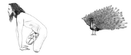 Иллюстрация к книге — Йога и сексуальные практики [i_038.jpg]