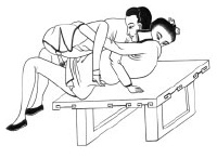 Иллюстрация к книге — Йога и сексуальные практики [i_210.jpg]