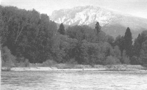 Иллюстрация к книге — Коллапс [i_012.jpg]