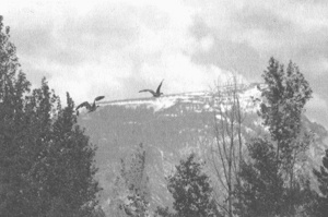 Иллюстрация к книге — Коллапс [i_014.jpg]