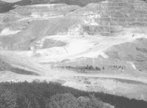 Иллюстрация к книге — Коллапс [i_015.jpg]