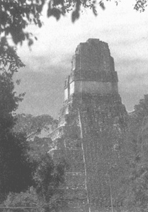 Иллюстрация к книге — Коллапс [i_023.jpg]