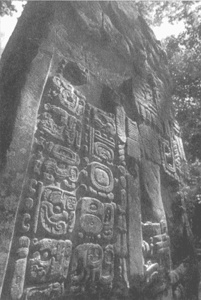 Иллюстрация к книге — Коллапс [i_024.jpg]