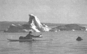 Иллюстрация к книге — Коллапс [i_030.jpg]