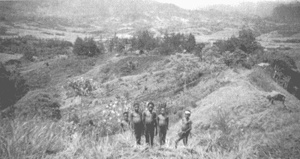 Иллюстрация к книге — Коллапс [i_031.jpg]