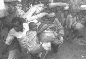 Иллюстрация к книге — Коллапс [i_034.jpg]