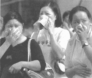 Иллюстрация к книге — Коллапс [i_037.jpg]