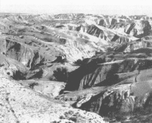 Иллюстрация к книге — Коллапс [i_038.jpg]