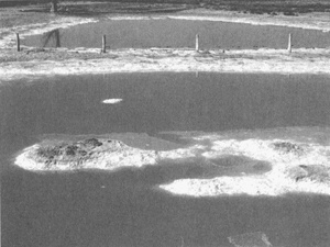 Иллюстрация к книге — Коллапс [i_040.jpg]