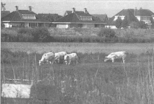 Иллюстрация к книге — Коллапс [i_052.jpg]