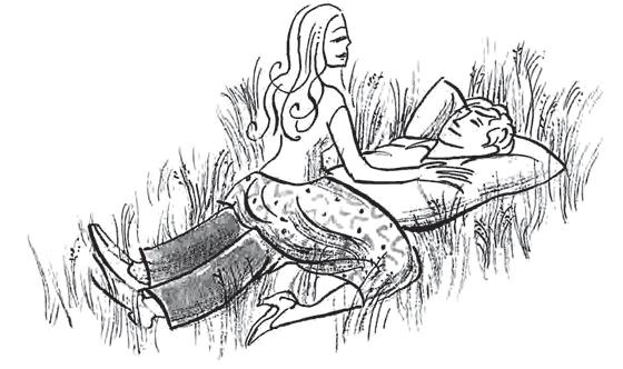 Иллюстрация к книге — Я не буду притворяться [img806B.jpg]