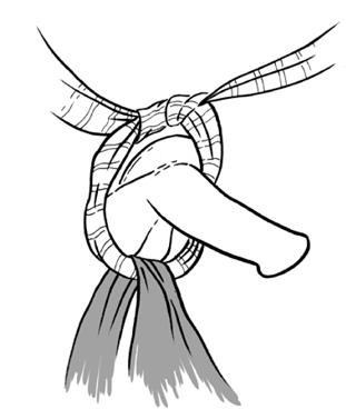 Иллюстрация к книге — Библия БДСМ. Полное руководство [i_008.jpg]