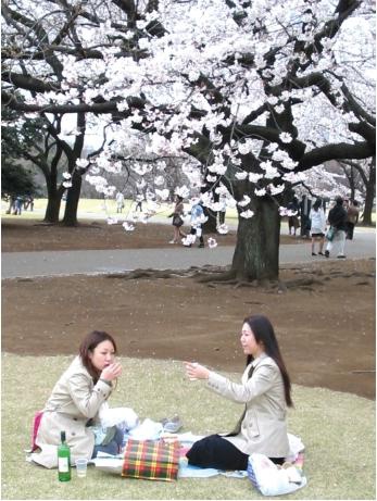 Иллюстрация к книге — Обратная сторона Японии [_40.jpg]