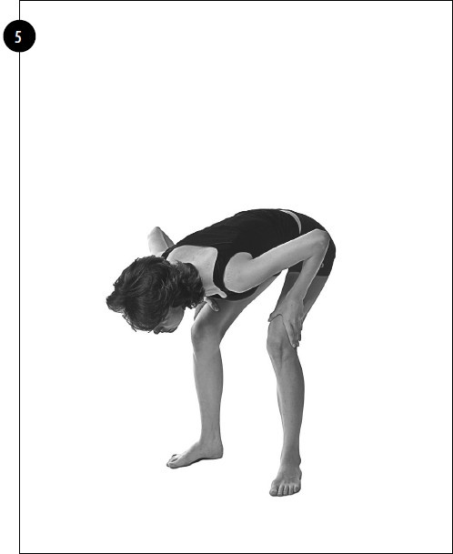 Иллюстрация к книге — Упражнения для увеличения груди [i_005.jpg]