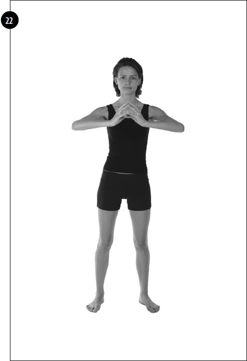 Иллюстрация к книге — Упражнения для увеличения груди [i_019.jpg]