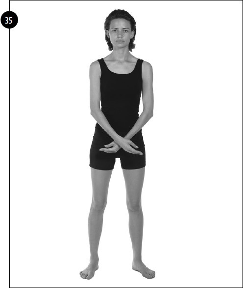 Иллюстрация к книге — Упражнения для увеличения груди [i_026.jpg]