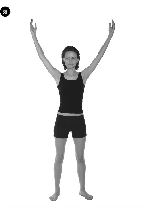 Иллюстрация к книге — Упражнения для увеличения груди [i_027.jpg]