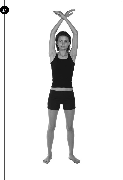 Иллюстрация к книге — Упражнения для увеличения груди [i_028.jpg]