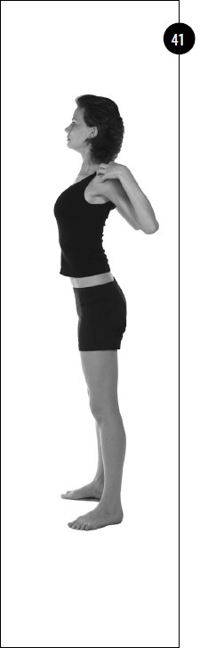 Иллюстрация к книге — Упражнения для увеличения груди [i_032.jpg]