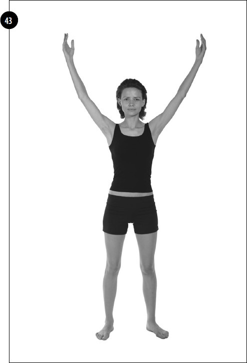 Иллюстрация к книге — Упражнения для увеличения груди [i_034.jpg]