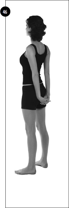 Иллюстрация к книге — Упражнения для увеличения груди [i_037.jpg]