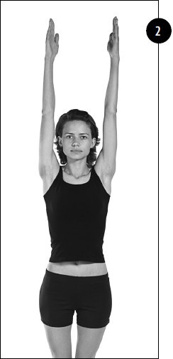 Иллюстрация к книге — Упражнения для увеличения груди [i_064.jpg]