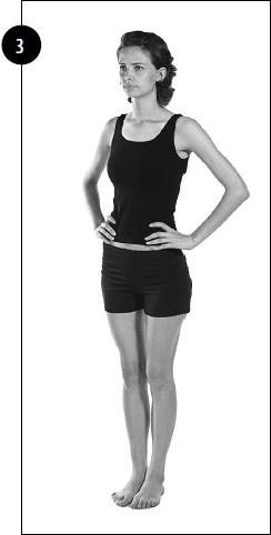 Иллюстрация к книге — Упражнения для увеличения груди [i_065.jpg]