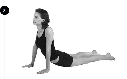 Иллюстрация к книге — Упражнения для увеличения груди [i_070.jpg]