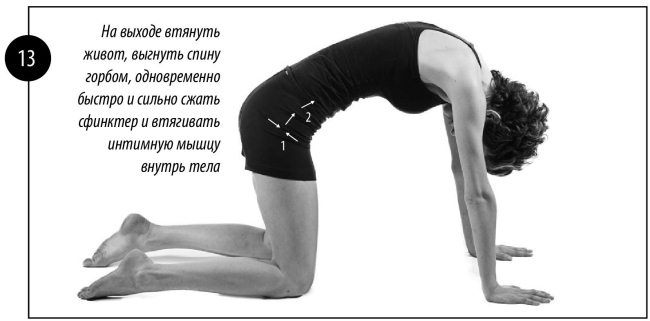 Иллюстрация к книге — Интимная гимнастика для женщин [i_014.jpg]