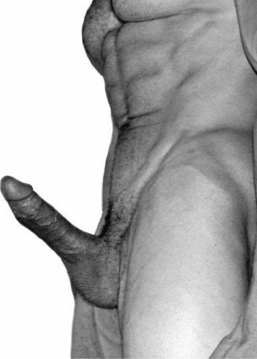 Иллюстрация к книге — Упражнения для увеличения пениса [i_013.jpg]