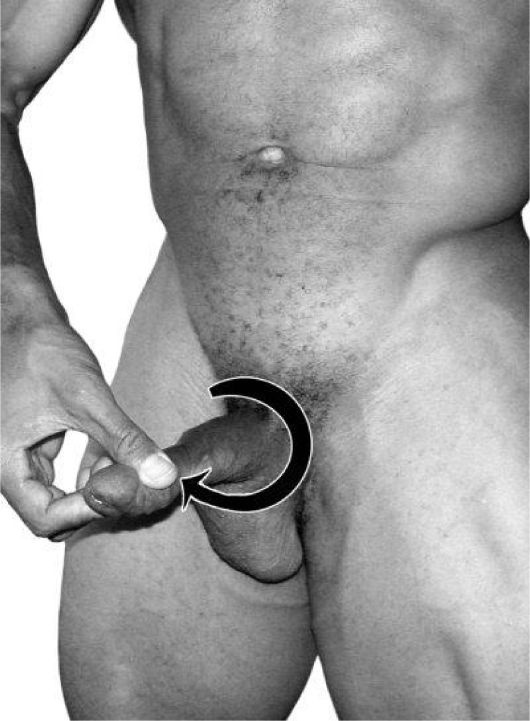 Иллюстрация к книге — Упражнения для увеличения пениса [i_048.jpg]