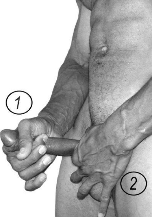 Иллюстрация к книге — Упражнения для увеличения пениса [i_050.jpg]