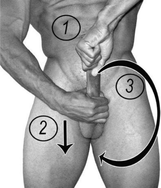 Иллюстрация к книге — Упражнения для увеличения пениса [i_059.jpg]