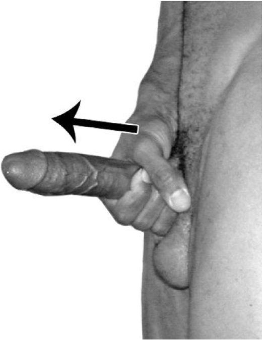 Иллюстрация к книге — Упражнения для увеличения пениса [i_074.jpg]