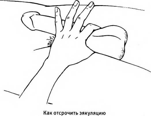 Иллюстрация к книге — Любовь и секс. Как мы ими занимаемся [i_016.jpg]