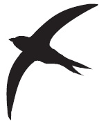 Иллюстрация к книге — Библия стервы. Правила, по которым играют настоящие женщины [i_017.jpg]