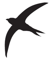 Иллюстрация к книге — Библия стервы. Правила, по которым играют настоящие женщины [i_279.jpg]