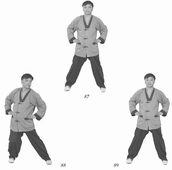 Иллюстрация к книге — Восточный путь к здоровью [i_068.jpg]