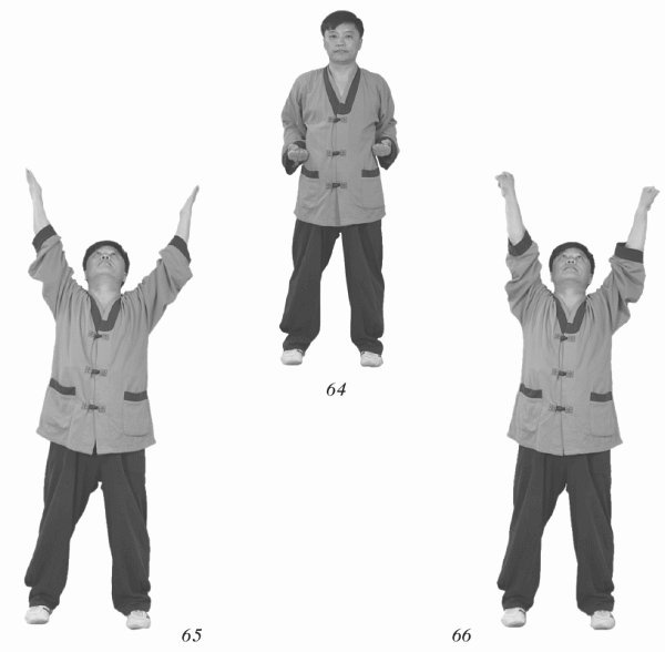 Иллюстрация к книге — Восточный путь к здоровью [i_109.jpg]