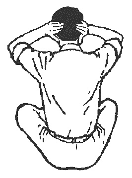 Иллюстрация к книге — Восточный путь к здоровью [i_131.jpg]