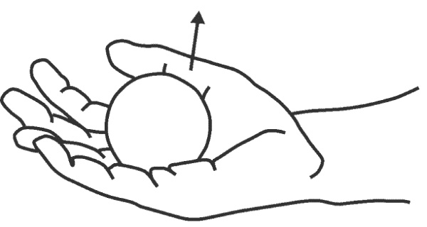 Иллюстрация к книге — Восточный путь к здоровью [i_161.jpg]