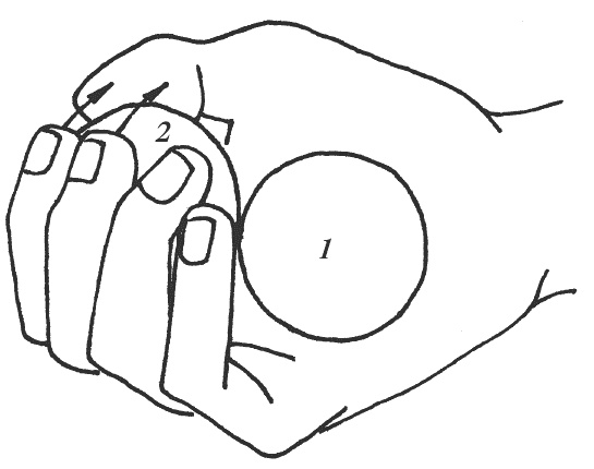 Иллюстрация к книге — Восточный путь к здоровью [i_167.jpg]