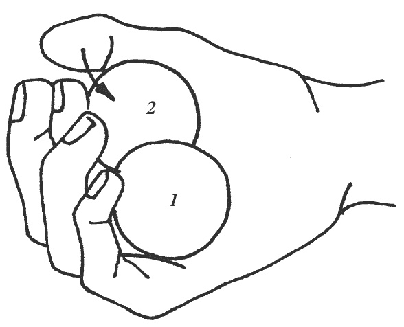 Иллюстрация к книге — Восточный путь к здоровью [i_168.jpg]