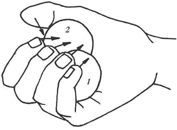 Иллюстрация к книге — Восточный путь к здоровью [i_169.jpg]