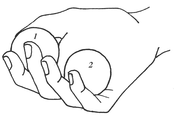 Иллюстрация к книге — Восточный путь к здоровью [i_171.jpg]