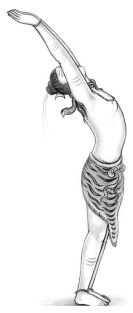 Иллюстрация к книге — Йога и аюрведа в 10 простых уроках [i_040.jpg]