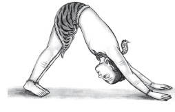 Иллюстрация к книге — Йога и аюрведа в 10 простых уроках [i_046.jpg]