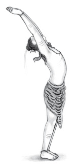 Иллюстрация к книге — Йога и аюрведа в 10 простых уроках [i_049.jpg]